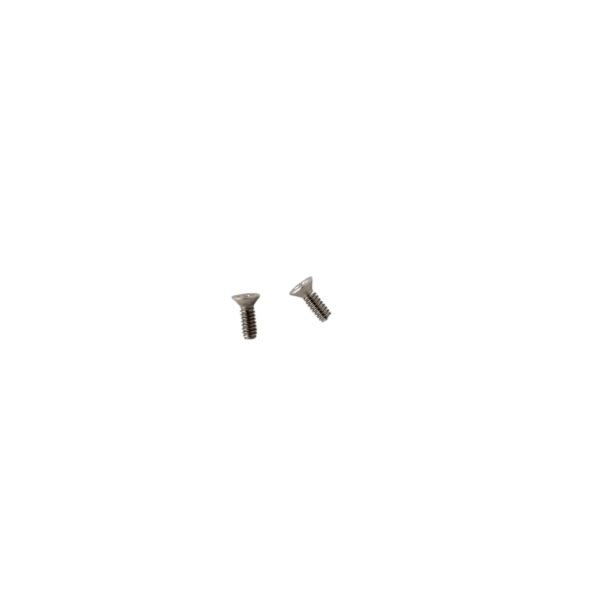 A Stainless Steel Screws on a White Background